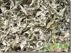 艾叶泡脚的功效和作用