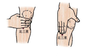 【穴位谈】足三里的深层含义和使用秘诀