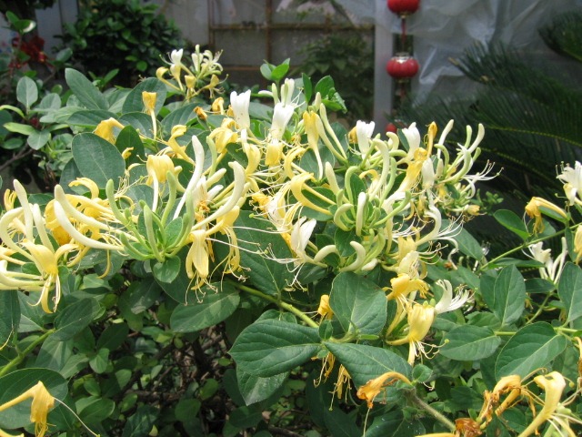 夏天如何远离痱子？