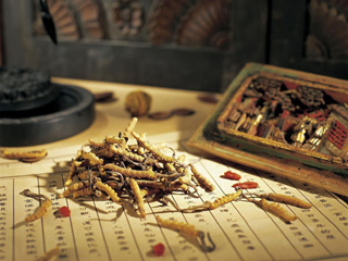 用十神汤来治疗温疫——兼论十神汤的方方面面