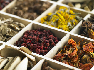 为什么要开始养生？