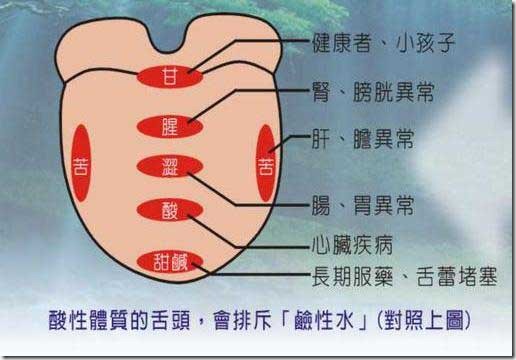 舌诊的知识以及舌诊图