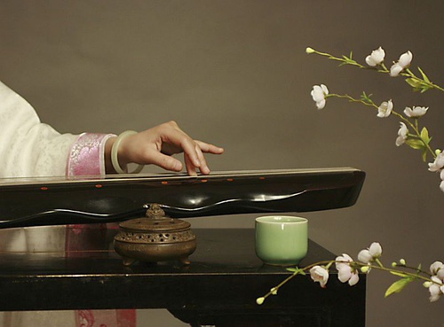 从中医角度分析咖啡