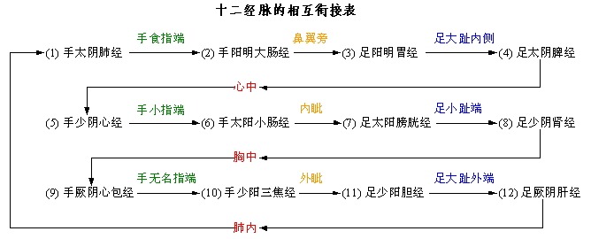 细数经络学说中的那些规律