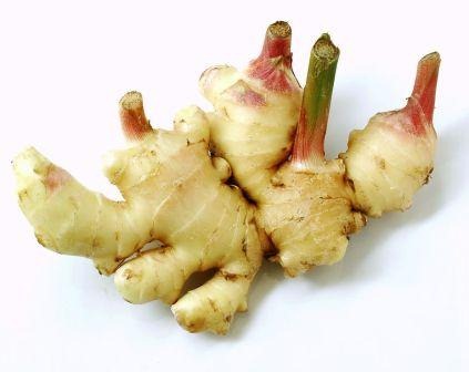 【小知识】生姜和干姜的区别