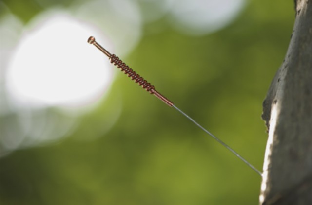 【干货分享】国医大师程莘农针灸配穴经验