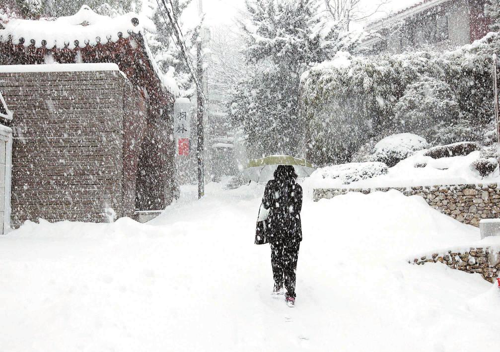 中医怎么看「献血」这件事儿？