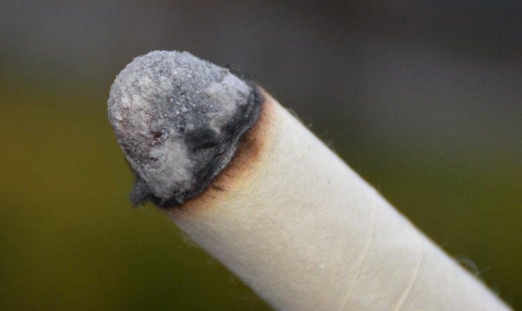 古法桑皮纸艾条