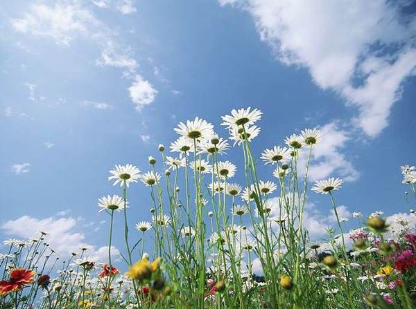 夏季如何养心？