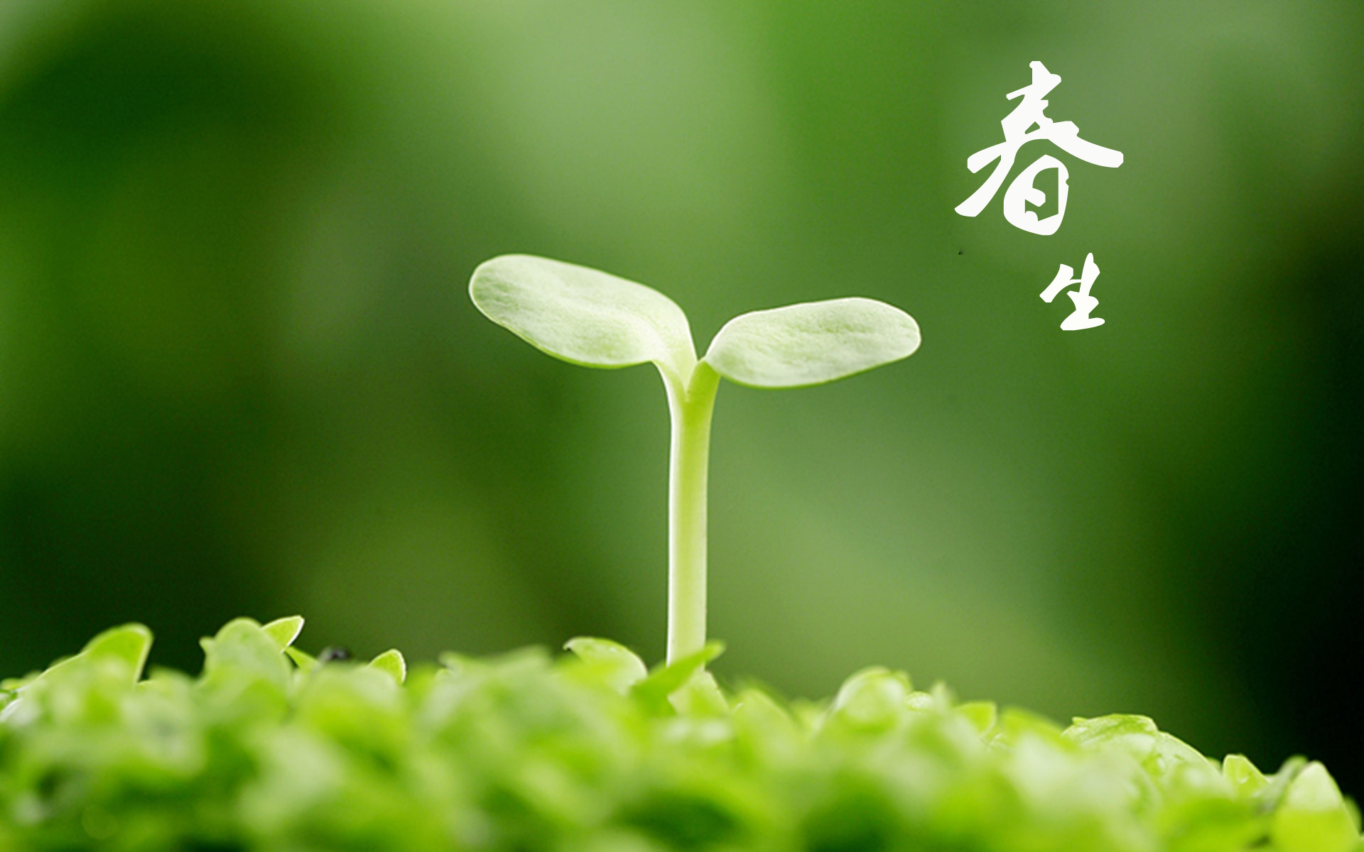 春季养生，应该做好的五件事儿