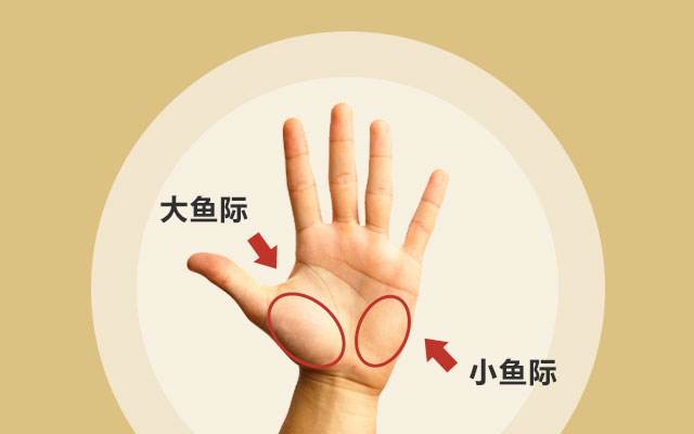 董洪涛：教你如何用大鱼际诊病治病