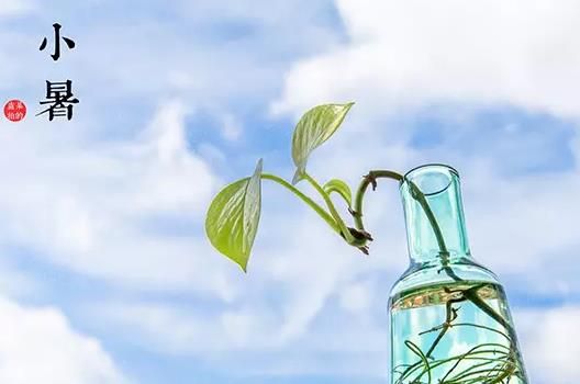 夏季该如何养生？详解《内经》夏三月的养生原则